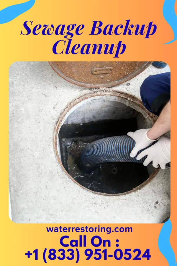 Sewage Backup Cleanup in Baraga, MI